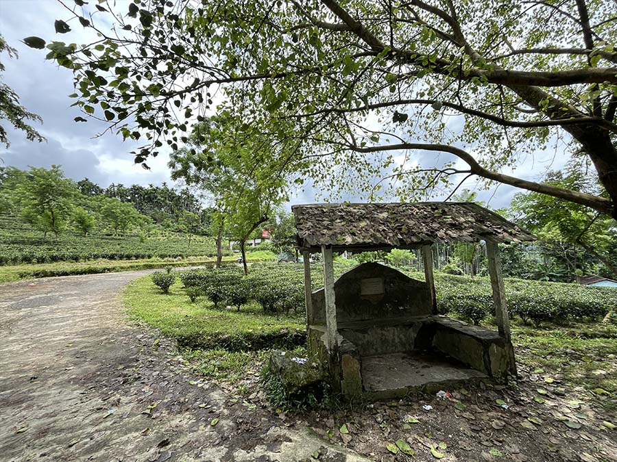Kumai Gorkha Homestay Images