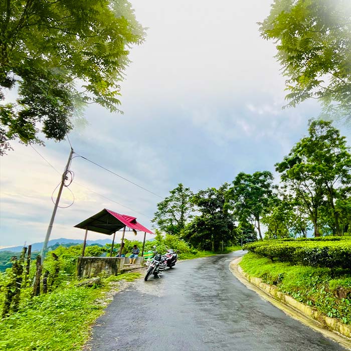 Peacock View Point