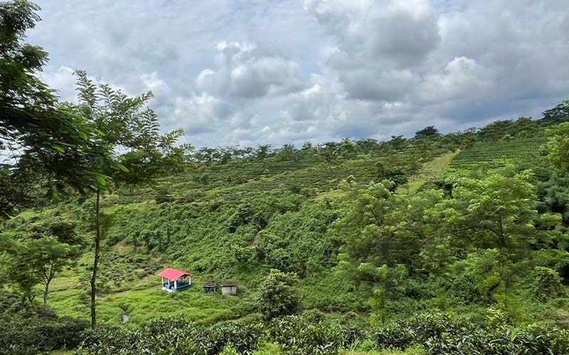 Kumai Gorkha Homestay Images