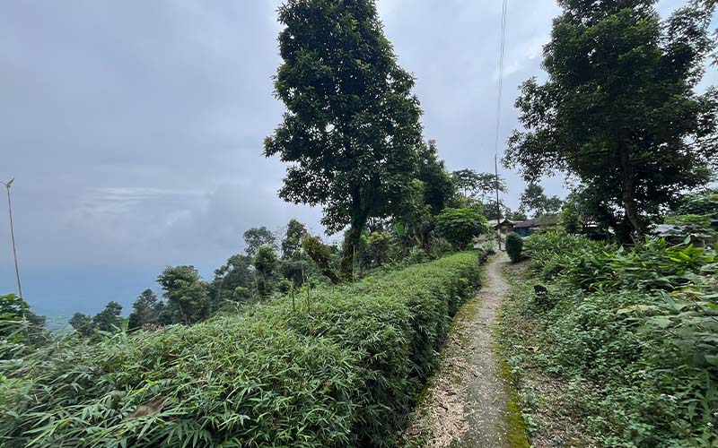 Kumai Gorkha Homestay Images