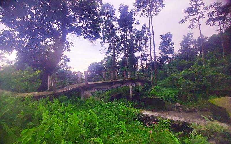Kumai Gorkha Homestay Images