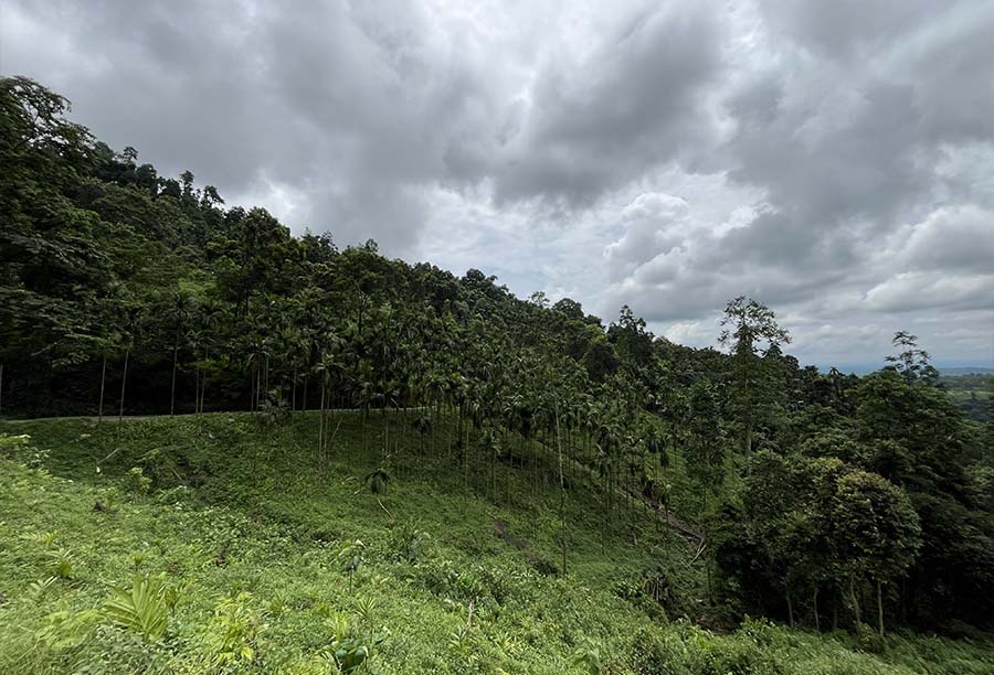 Hilly Sunset View Point at Kumai